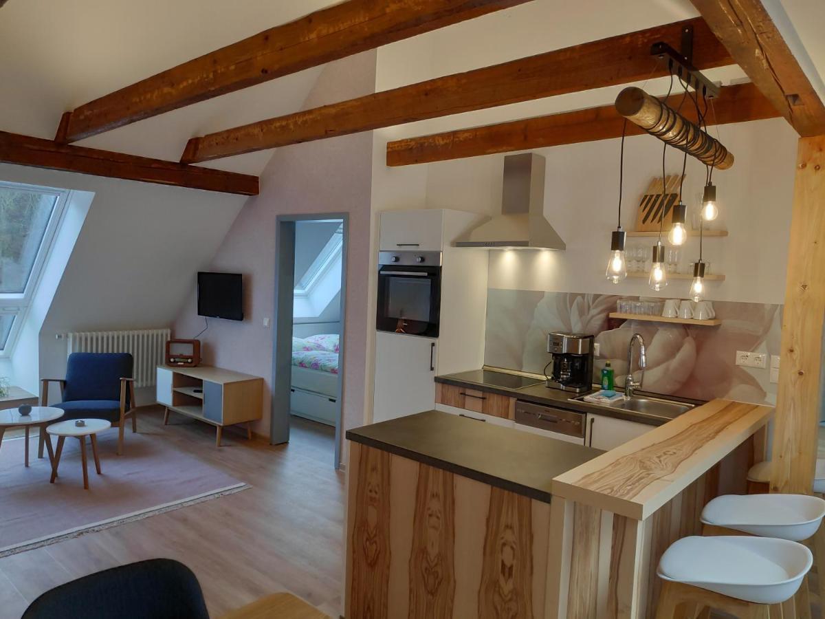 Aparthotel Thalmühle Meisdorf Habitación foto