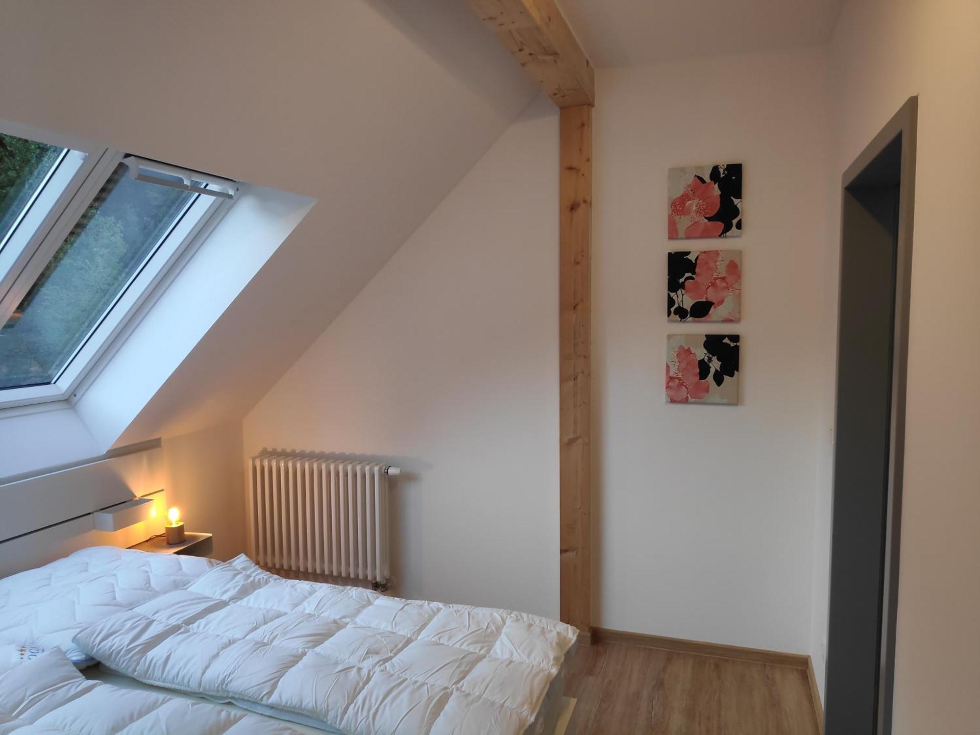 Aparthotel Thalmühle Meisdorf Habitación foto